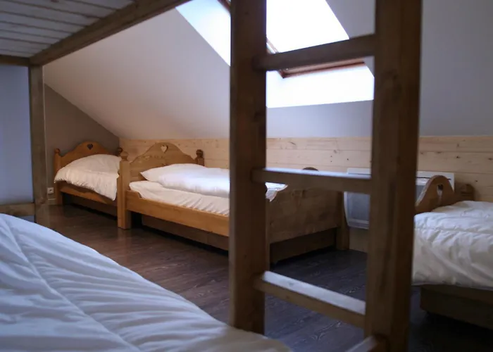 Camp De Base Pour Tribu Sportif Wifi 5 Ch *